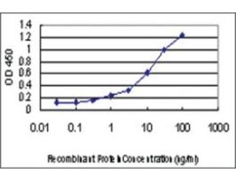 ANTI-PUM2 antibody produced in mouseclone 7C7, purified immunoglobulin, buffered aqueous solution