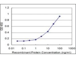 ANTI-EIF2AK2 antibody produced in mouseclone 2C2, purified immunoglobulin, buffered aqueous solution