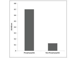 Anti-phospho-PLD2 (pTyr169) antibody produced in rabbit~1 mg/mL, affinity isolated antibody, buffered aqueous solution