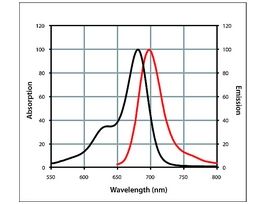 Anti-Rabbit IgG (H+L), highly cross-adsorbed, CF(TM) 680 antibody produced in goat~2 mg/mL, affinity isolated antibody 125UL