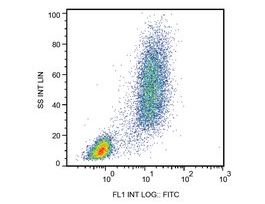 Monoclonal Anti-CD13 antibody produced in mouseclone WM15, purified immunoglobulin, buffered aqueous solution
