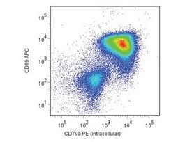 Monoclonal Anti-CD79A-PE antibody produced in mouseclone HM57, purified immunoglobulin, buffered aqueous solution