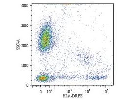 Monoclonal Anti-HLA-DR-PE antibody produced in mouseclone MEM-12, purified immunoglobulin, buffered aqueous solution