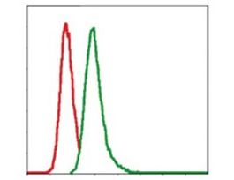Monoclonal Anti-G6PD antibody produced in mouseclone 5E12, ascites fluid, buffered aqueous solution