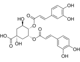 4,5-Di-O-caffeoylquinic acid>=85% (LC/MS-ELSD)