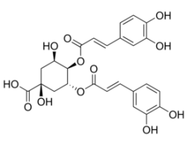 3,4-Di-O-caffeoylquinic acid>=90% (LC/MS-ELSD)