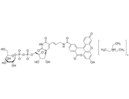 Glucose-Udp-Fluorescein Conjugate