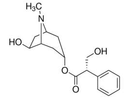 (+/-)-Anisodamine>=98% (HPLC) 10MG