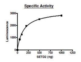 SETD2 active humanrecombinant, expressed in E. coli, >=70% (SDS-PAGE)