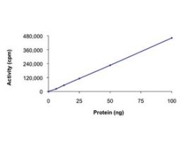 AMPK (alpha2/beta2/gamma1), active, His tagged humanPRECISIO(R) Kinase, recombinant, expressed in baculovirus infected Sf9 cells, >=70% (SDS-PAGE), buffered aqueous glycerol solution