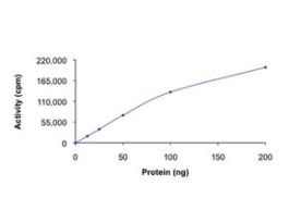 CDK2/CyclinA1, active, GST tagged humanPRECISIO(R) Kinase, recombinant, expressed in baculovirus infected Sf9 cells, >=70% (SDS-PAGE), buffered aqueous glycerol solution