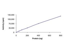 SOK1, active, GST tagged humanPRECISIO(R) Kinase, recombinant, expressed in baculovirus infected Sf9 cells, >=70% (SDS-PAGE), buffered aqueous glycerol solution