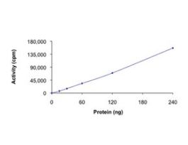 ULK1 (1-649), active, GST tagged humanPRECISIO(R) Kinase, recombinant, expressed in baculovirus infected Sf9 cells, >=70% (SDS-PAGE), buffered aqueous glycerol solution