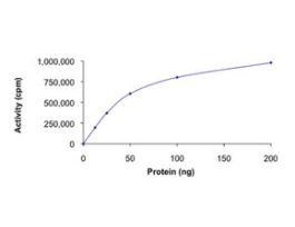 ROCK2 (5-554), active, His tagged humanPRECISIO(R) Kinase, recombinant, expressed in baculovirus infected Sf9 cells, >=70% (SDS-PAGE), buffered aqueous glycerol solution