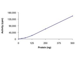 EIF2AK4 (192-1024), active, GST tagged humanPRECISIO(R) Kinase, recombinant, expressed in baculovirus infected Sf9 cells, >=70% (SDS-PAGE), buffered aqueous glycerol solution