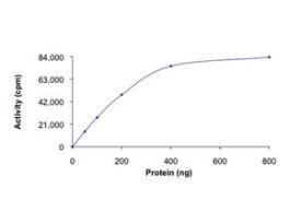 STK32B active, GST tagged humanPRECISIO(R) Kinase, recombinant, expressed in baculovirus infected Sf9 cells, >=70% (SDS-PAGE), buffered aqueous glycerol solution
