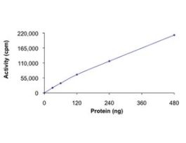 EPHA7 (580-end), active, GST tagged from mousePRECISIO(R) Kinase, recombinant, expressed in baculovirus infected Sf9 cells, >=70% (SDS-PAGE), buffered aqueous glycerol solution
