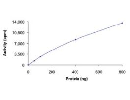 PDHK1, active, GST tagged humanPRECISIO(R) Kinase, recombinant, expressed in baculovirus infected Sf9 cells, >=70% (SDS-PAGE), buffered aqueous glycerol solution