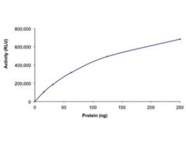 HDAC9, active, GST tagged humanrecombinant, expressed in baculovirus infected Sf9 cells, >=70% (SDS-PAGE), buffered aqueous glycerol solution