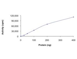 PDGFR-alpha (T674I), active, GST tagged humanPRECISIO(R), recombinant, expressed in baculovirus infected Sf9 cells, >=70% (SDS-PAGE), buffered aqueous glycerol solution