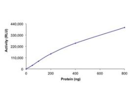 PI3K (p110-alpha/p55-gamma), active, His tagged humanPRECISIO(R), recombinant, expressed in baculovirus infected Sf9 cells, >=70% (SDS-PAGE), buffered aqueous glycerol solution