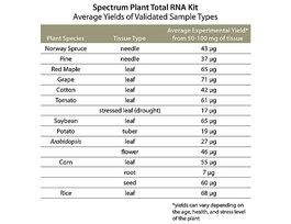 Spectrum(TM) Plant Total RNA Kitsufficient for 250 purifications