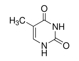 Thymine>=99% 5G