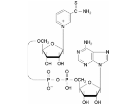 Thionicotinamide adenine dinucleotide>=90% 25MG