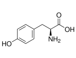 L-Tyrosinefrom non-animal source, meets EP, USP testing specifications, suitable for cell culture, >=99.0% 10MG