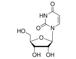 Uridine>=99% 100G