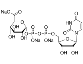 Uridine 5'-diphosphoglucuronic acid trisodium salt98-100% 500MG