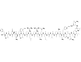 Vasoactive Intestinal Peptide Fragment 6-28 human, porcine, rat>=97% (HPLC)