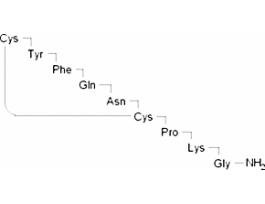 [Lys8]-Vasopressin>=98% (HPLC) 1MG