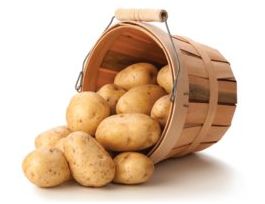 Methionalnatural, 98%, FG 100G