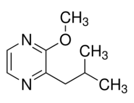2-Isobutyl-3-methoxypyrazine>=99%, FG 1KG