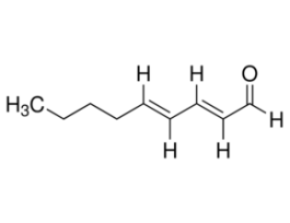 trans,trans-2,4-Nonadienal>=89%, FG 1KG