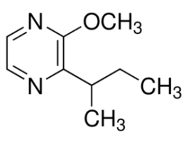 2-Methoxy-3-(1-methylpropyl)pyrazine>=98%, FG SAMPLE