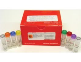 GenomePlex(R) Whole Genome Amplification (WGA) KitKit for whole genome amplification from a variety of DNA sources including FFPE tissue