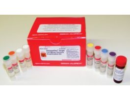 GenomePlex(R) Single Cell Whole Genome Amplification KitAmplify genome of a single cell 50RXN