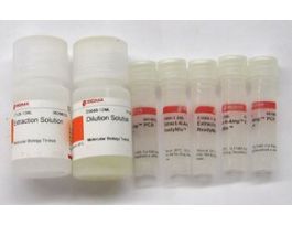 Extract-N-Amp(TM) Plant PCR Kitsufficient for 100 extractions, sufficient for 500 amplifications