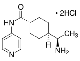 Y-27632 dihydrochloride>=98% (HPLC) 5MG