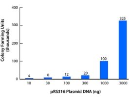 Yeast Transformation Kitreagents for introducing plasmid DNA into yeast