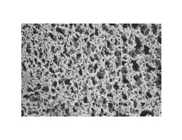 Nyon Membrane Filters, 5.0m, 25 mm; 100/Pk