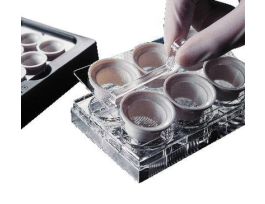 INSERT NETWELL 74UM 15MM CS48