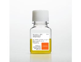 AMPHOTERICIN B 6X50ML