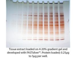 FASTSILVER SENS-1NG PRT 25 MINI GELS
