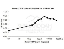 HUMAN CNTF 5UG