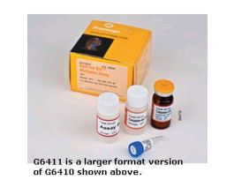 MULTIPLEX ASSAY APOLIVEGLO CLORLS 5+?10ML