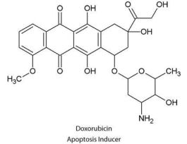 DOXORUBICIN APOP INDUC 2MM 50UL