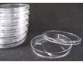 VWR PETRI DISH 100X15 LT CS600